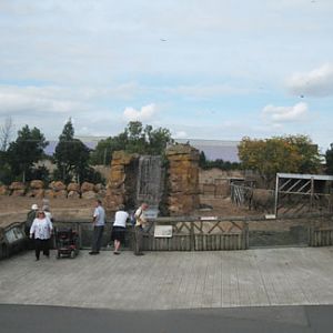 asian elephant exhibit