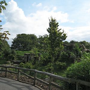 excellent spec bear exhibit