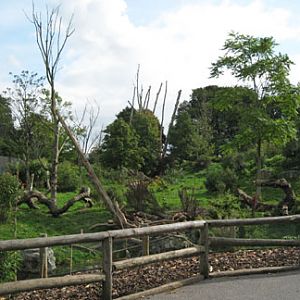 excellent spec bear exhibit