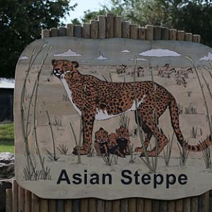excellent cheetah sign