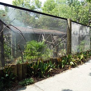 Toco Toucan Exhibit
