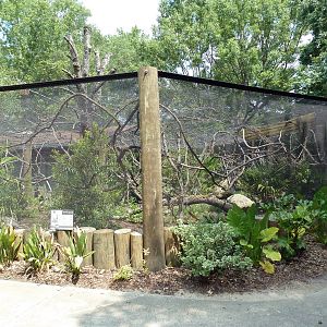 Geoffrey's Tamarin Exhibit