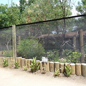 Toco Toucan Exhibit