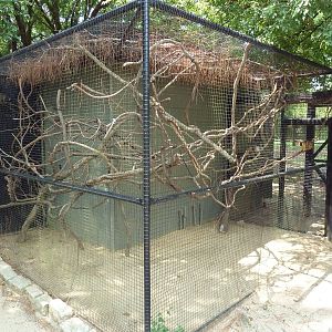 Emperor Tamarin Exhibit