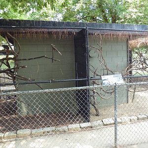 Emperor Tamarin Exhibit