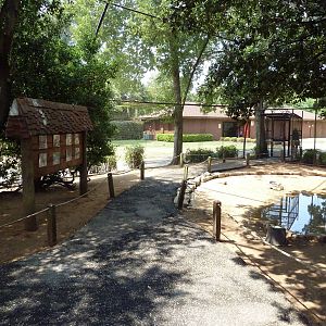 Walk-Through South American Aviary