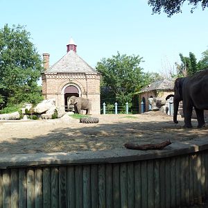 Asian Domain - Elephant Exhibit