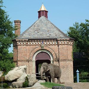 Asian Domain - Elephant Exhibit