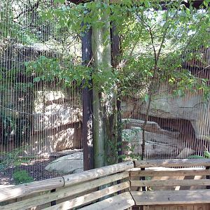 Asian Domain - Milky Stork/Babirusa Exhibit