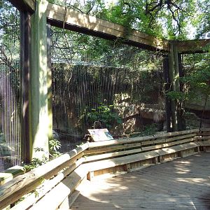 Asian Domain - Milky Stork/Babirusa Exhibit