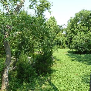 Asian Domain - Red-Crowned Crane Exhibit