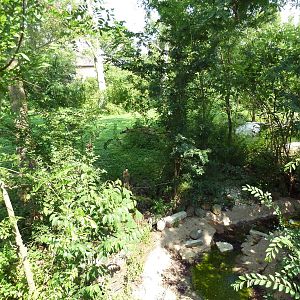 Asian Domain - Red-Crowned Crane Exhibit