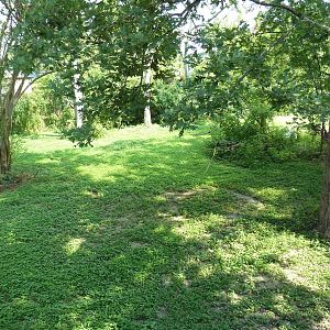Asian Domain - Red-Crowned Crane Exhibit