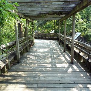 Asian Domain - Boardwalk