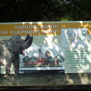 Asian Domain - New Elephant Barn Sign