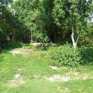 Asian Domain - Red-Crowned Crane Exhibit