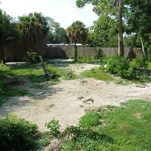 Asian Domain - Red-Crowned Crane Exhibit