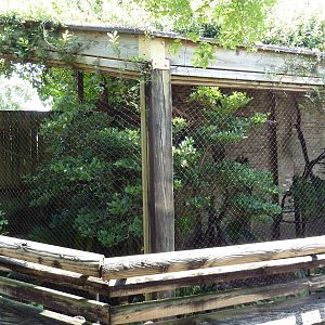 Asian Domain - Great Indian Hornbill Exhibit