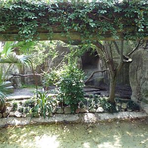 World Of Primates - Black + White Ruffed Lemur Exhibit