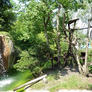 World Of Primates - Golden Lion Tamarin/White-Faced Saki Monkey Exhibit