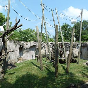World Of Primates - Sumatran Orangutan Exhibit