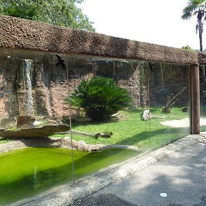 Reptile Encounter - Komodo Dragon Exhibit