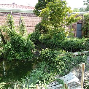 Reptile Encounter - False Gharial Exhibit