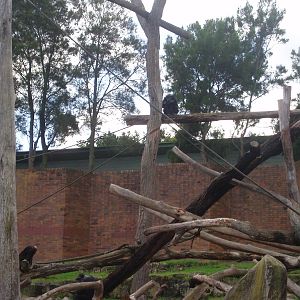 taronga zoo 2009