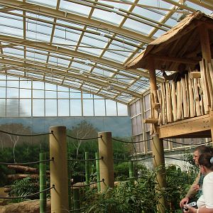 New Elephant House Interior at Heidelberg, 05/09/10