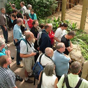 Zoohistorica Group Tour at Heidelberg, 05/09/10