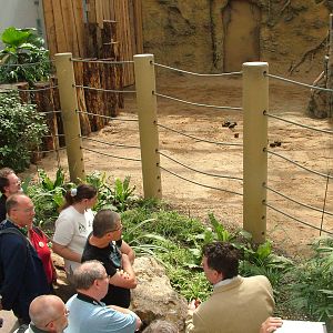 Zoohistorica Group Tour at Heidelberg, 05/09/10