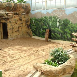 New Elephant House Interior at Heidelberg, 05/09/10