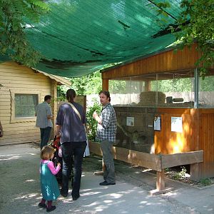 Hamster Exhibit at Heidelberg, 05/09/10
