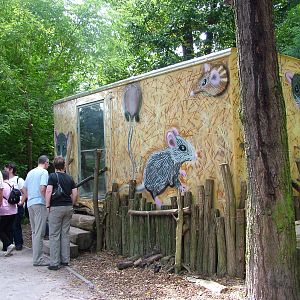 Rat Exhibit at Heidelberg, 05/09/10