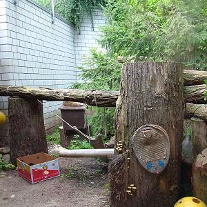 Jungle Cat Exhibit at Heidelberg, 05/09/10