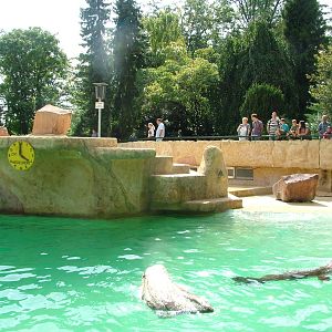 Sea Lion Exhibit at Heidelberg, 05/09/10