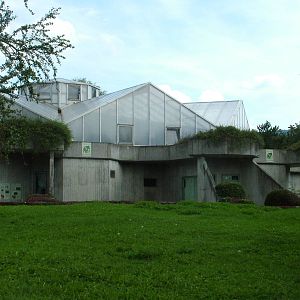 Ape House View at Heidelberg, 05/09/10