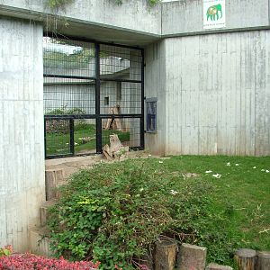 Ape House at Heidelberg, 05/09/10