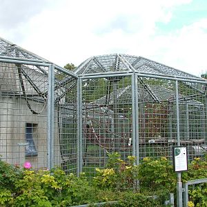 Ape House at Heidelberg, 05/09/10