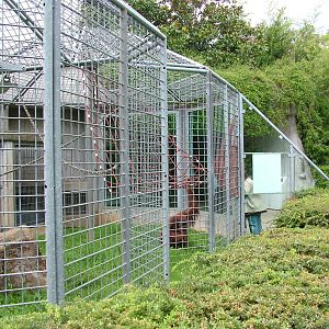 Ape House at Heidelberg, 05/09/10