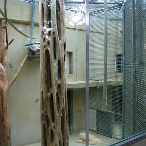 Ape House at Heidelberg, 05/09/10