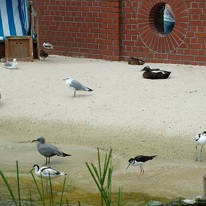 Coastal Panorama at Heidelberg, 05/09/10