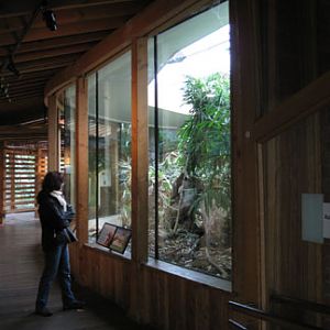 komodo dragon exhibit building