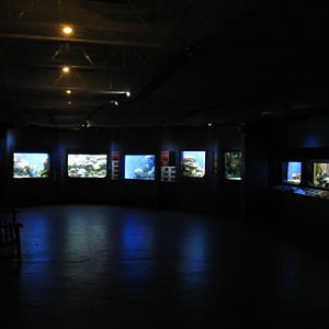 worlds first aquarium