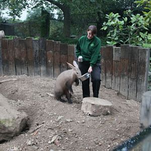 keeper and aardvark