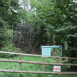 clouded leopard exhibit