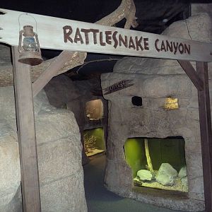 Reptile Encounter - Rattlesnake Canyon
