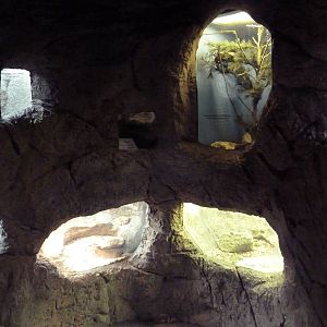 Reptile Encounter - Rattlesnake Canyon