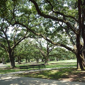 Beautiful Lawn/Picnic Area