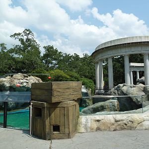 Sea Lion Exhibit